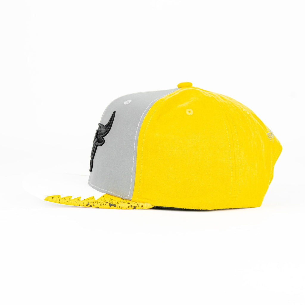 Gorra Mitchell&Ness BULLS DAY 5 YELL/WHT | Snapback Visera Plana
